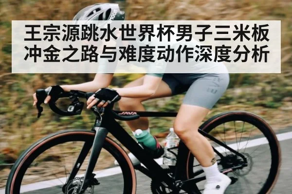 王宗源跳水世界杯男子三米板冲金之路与难度动作深度分析